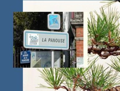 CIQ de la Panouse 