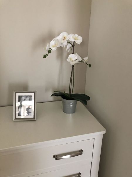 2021 senior IMG 6590 2021 senior IMG 6590